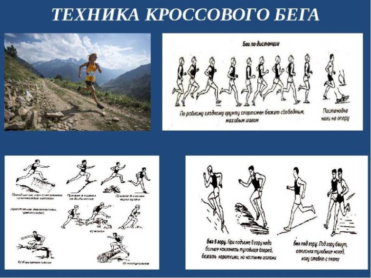 ВФСК ГТО.